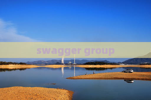 swagger group swagger group